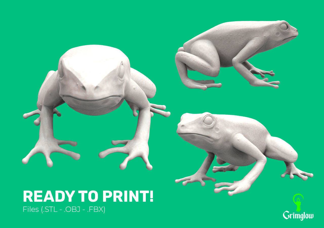 Harlequin frog 3D print model_7