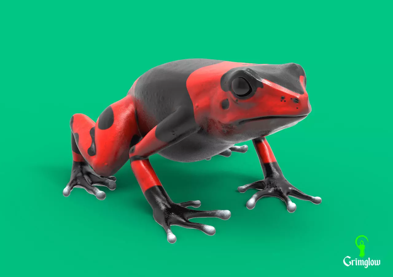 Harlequin frog 3D print model_0
