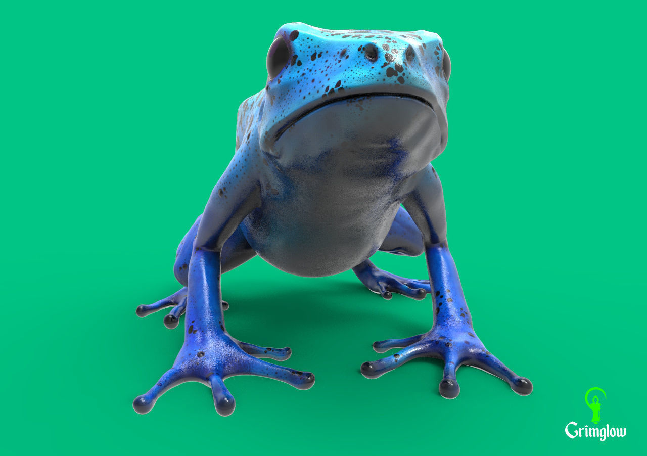 Blue dart frog 3D print model_6