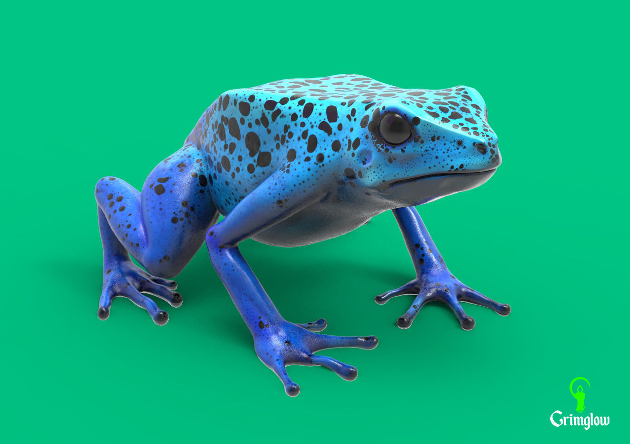 Blue dart frog 3D print model_1