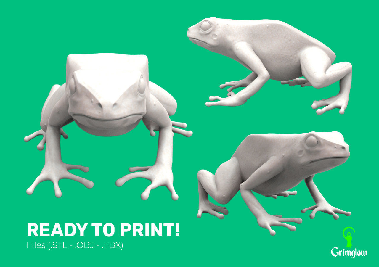 Blue dart frog 3D print model_7