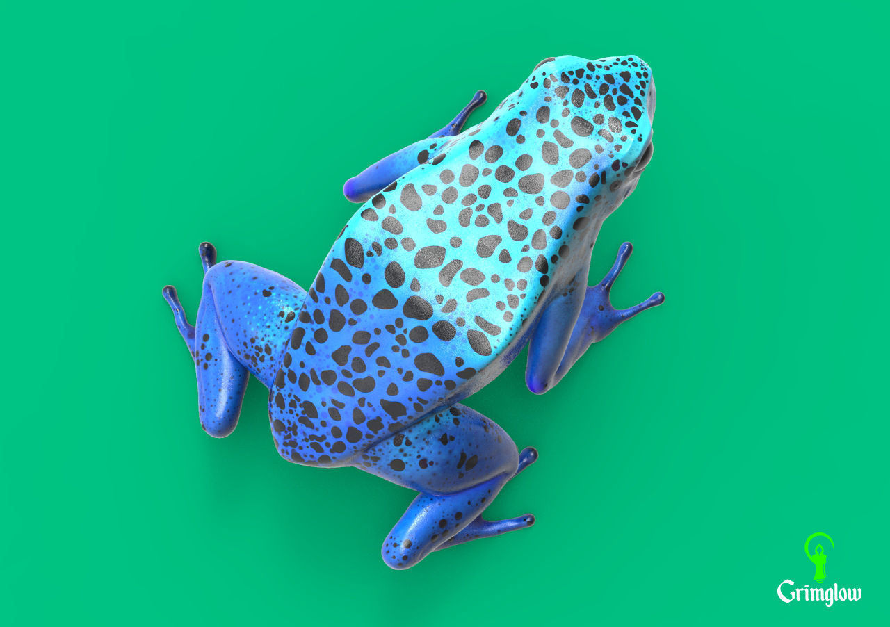 Blue dart frog 3D print model_4