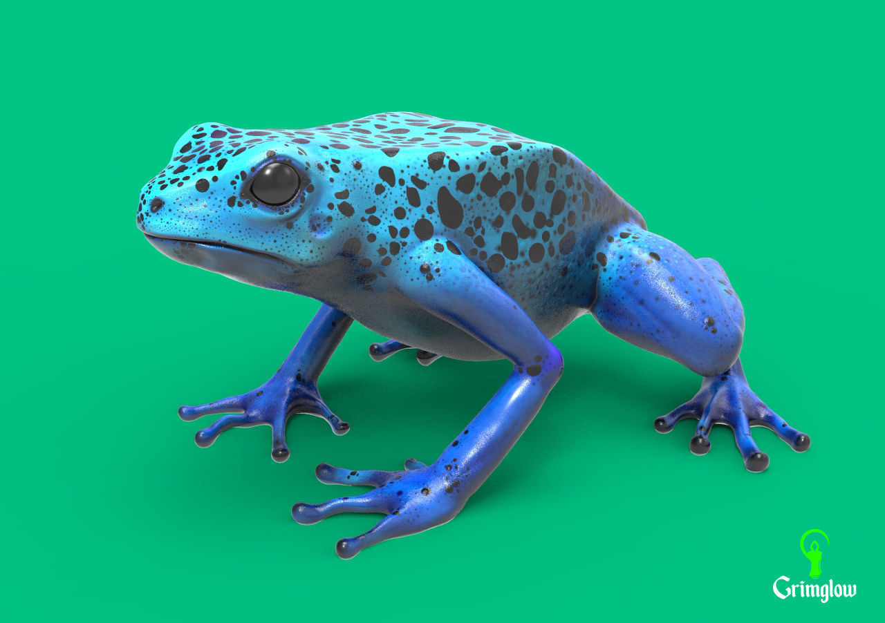 Blue dart frog 3D print model_2