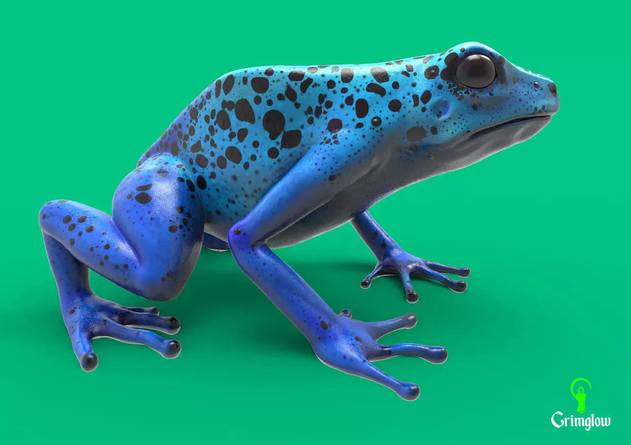 Blue dart frog 3D print model_0