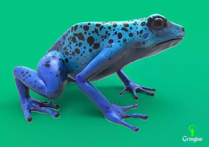 Blue dart frog 3D print model