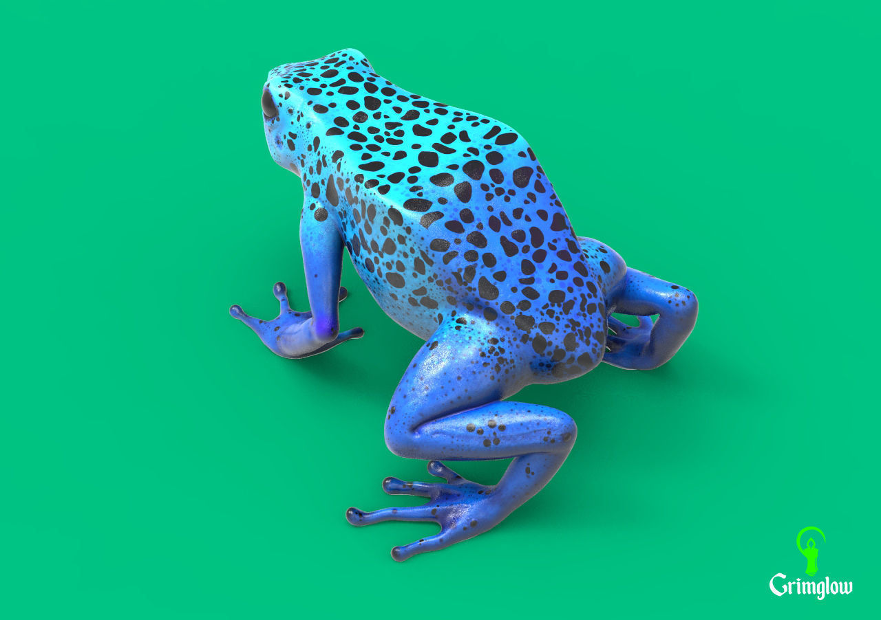 Blue dart frog 3D print model_3