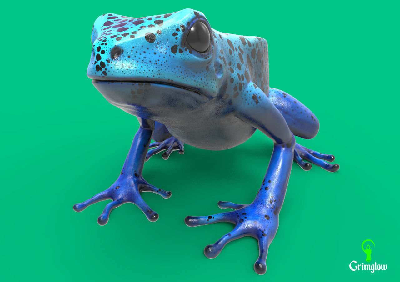 Blue dart frog 3D print model_5