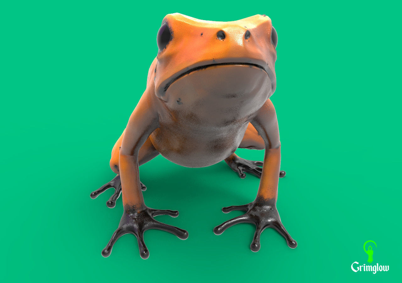 Golden dart frog 3D print model_5