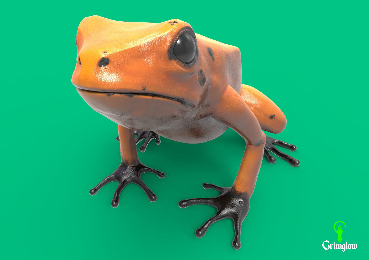 Golden dart frog 3D print model_4