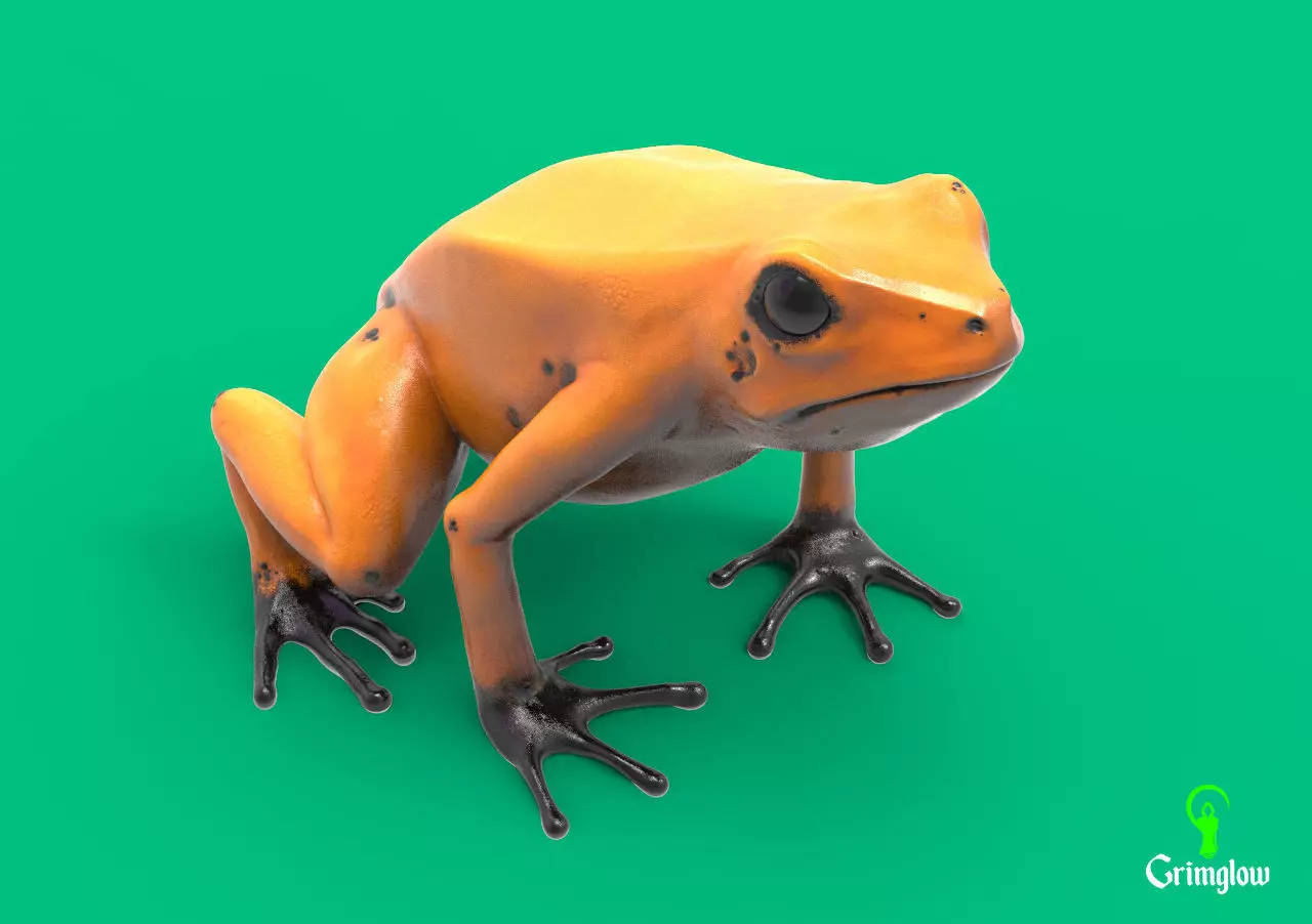 Golden dart frog 3D print model_0
