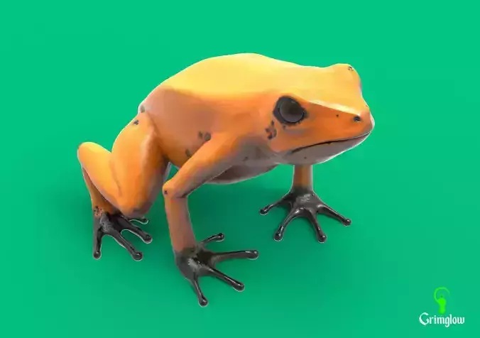 Golden dart frog 3D print model