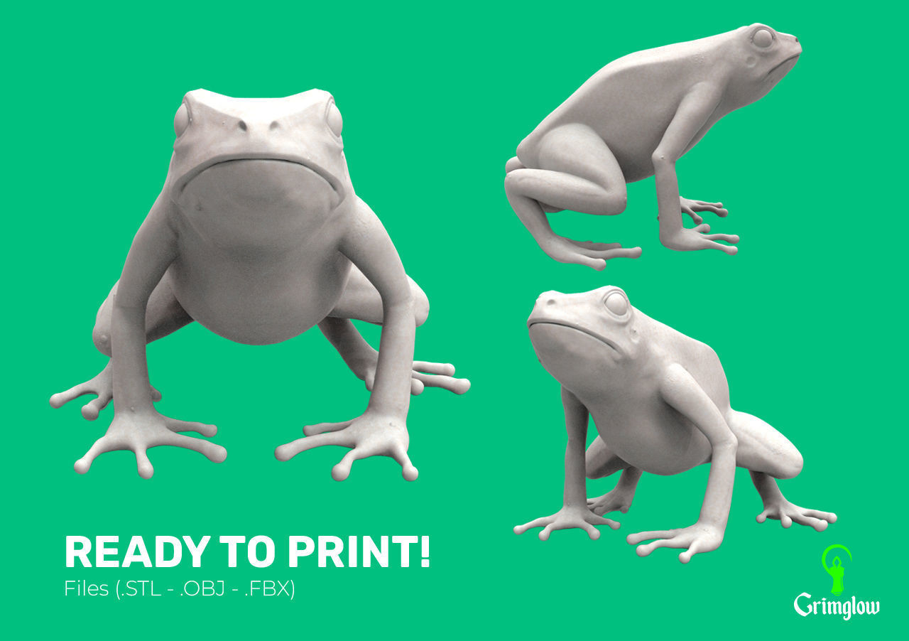 Golden dart frog 3D print model_7