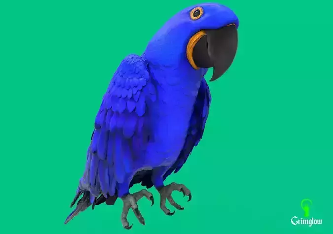 Hyacinth macaw 3D print model