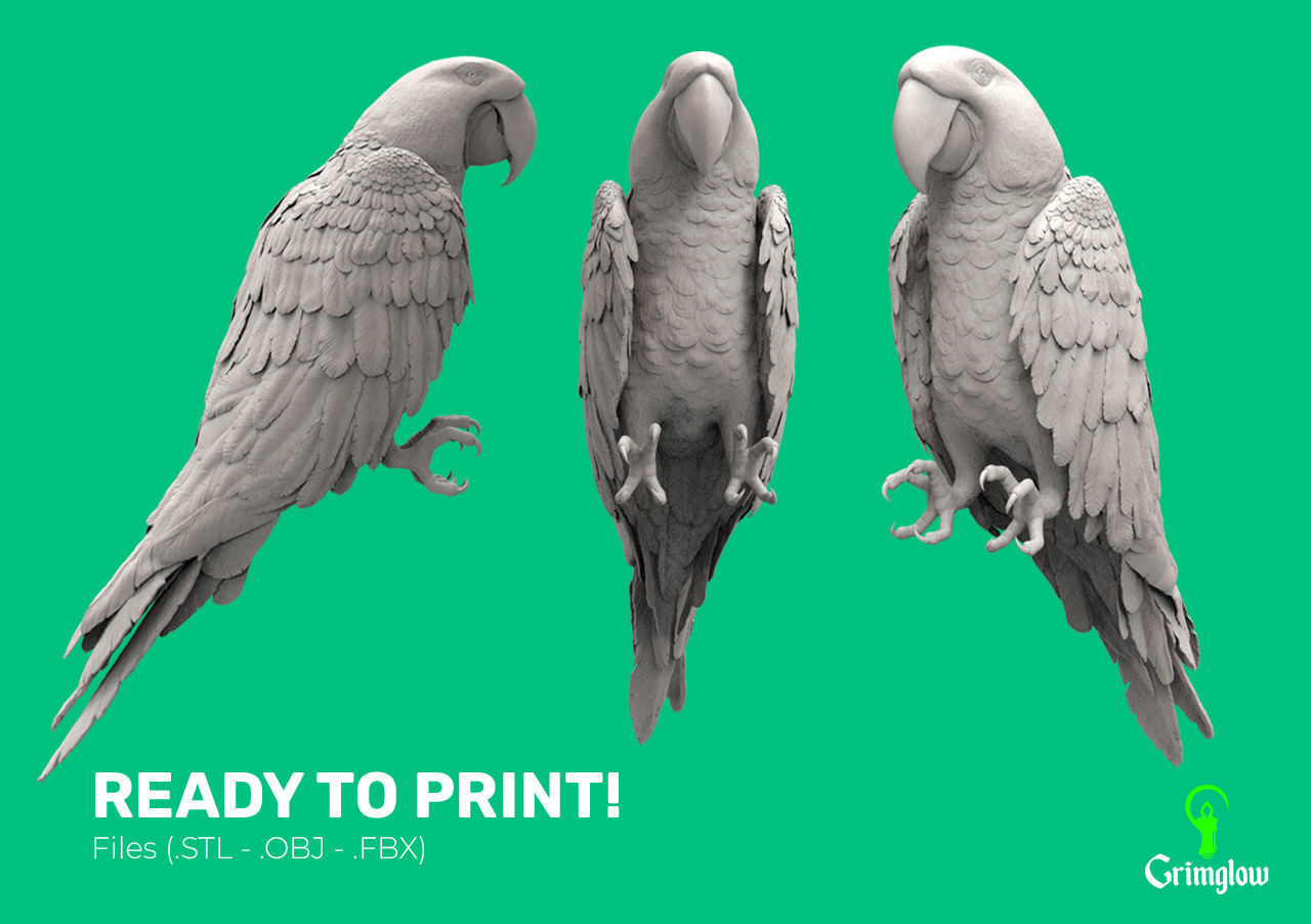 Hyacinth macaw 3D print model_8