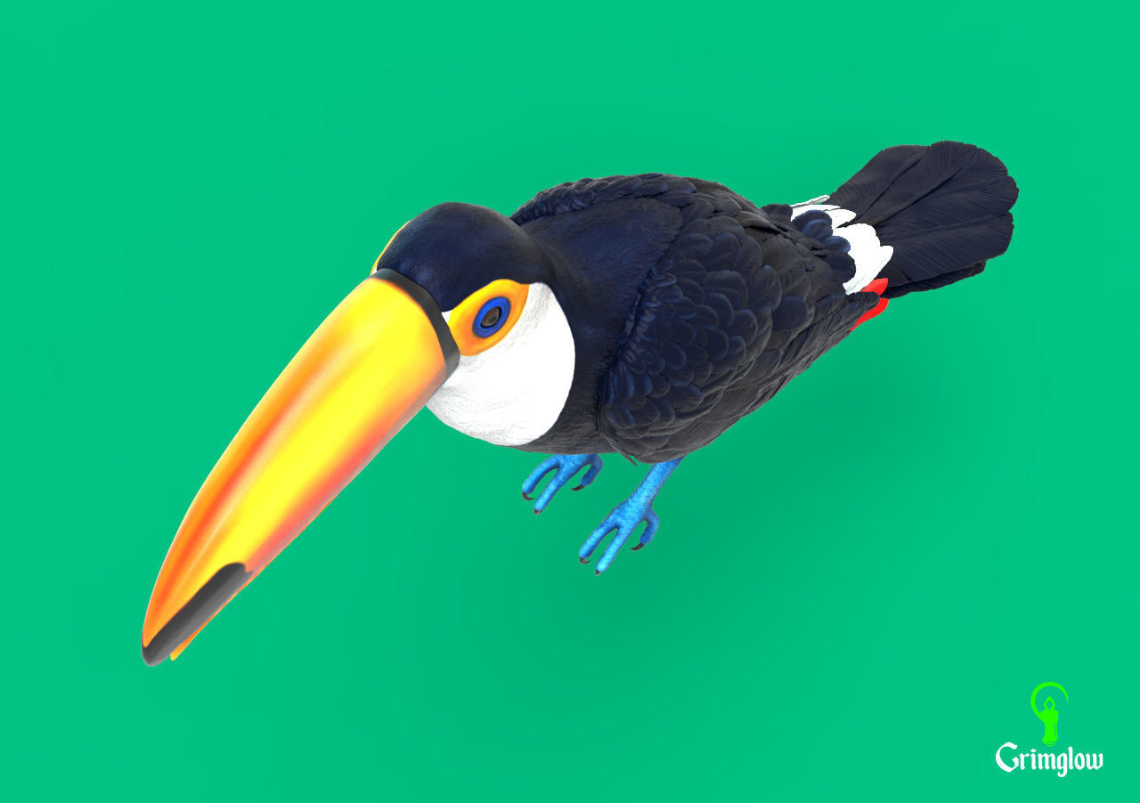 Toucan Toco 3D print model_3