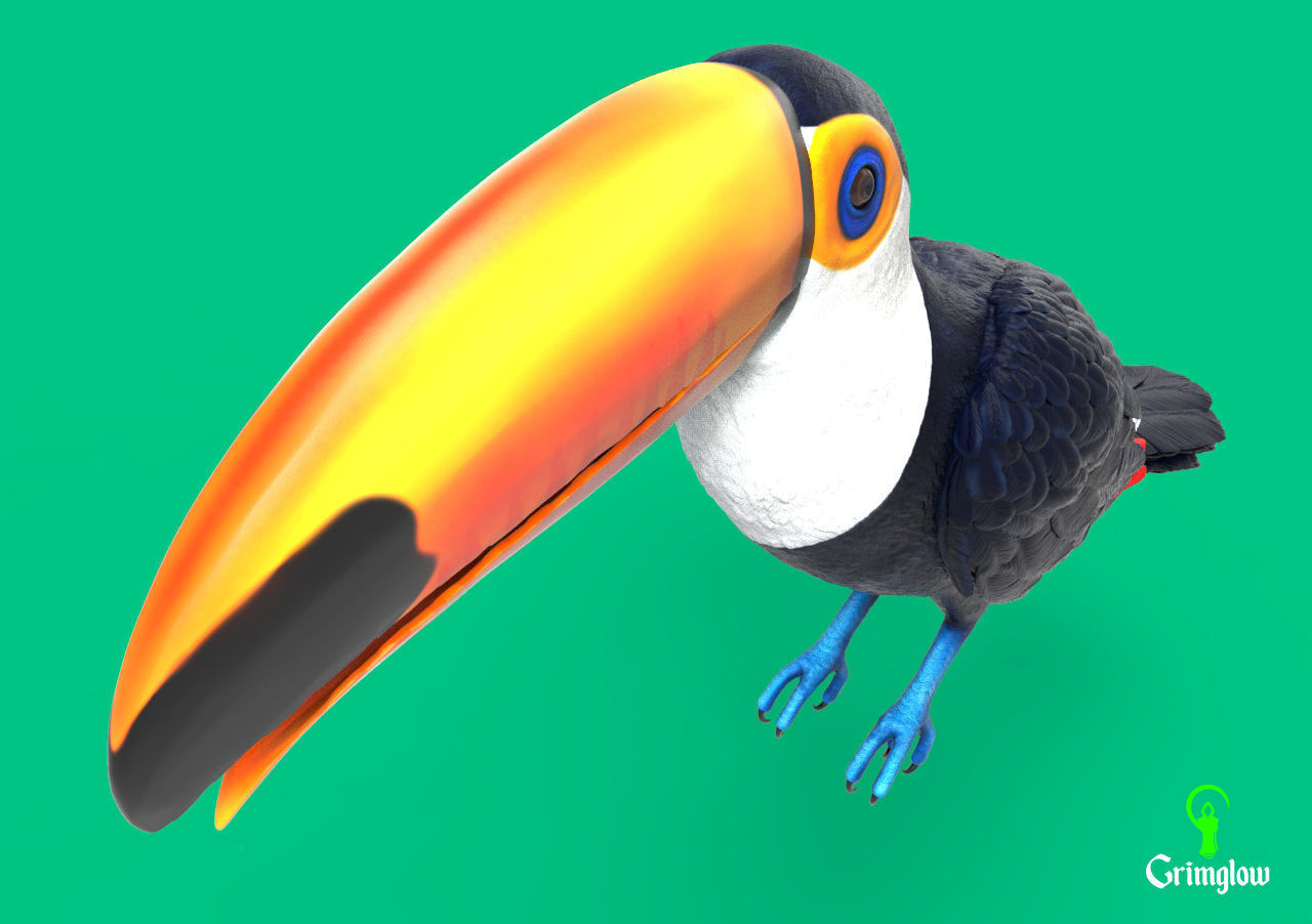 Toucan Toco 3D print model_7