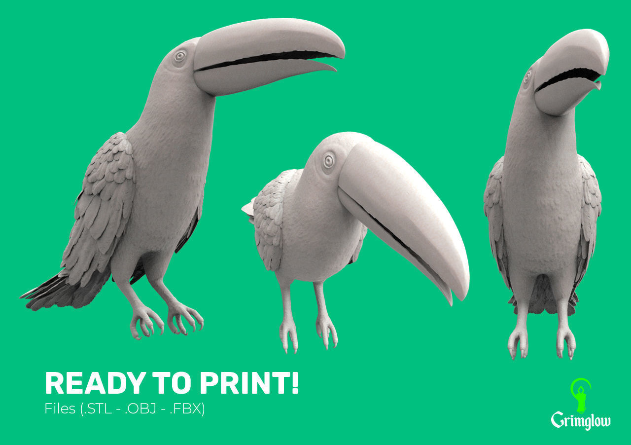 Toucan Toco 3D print model_8