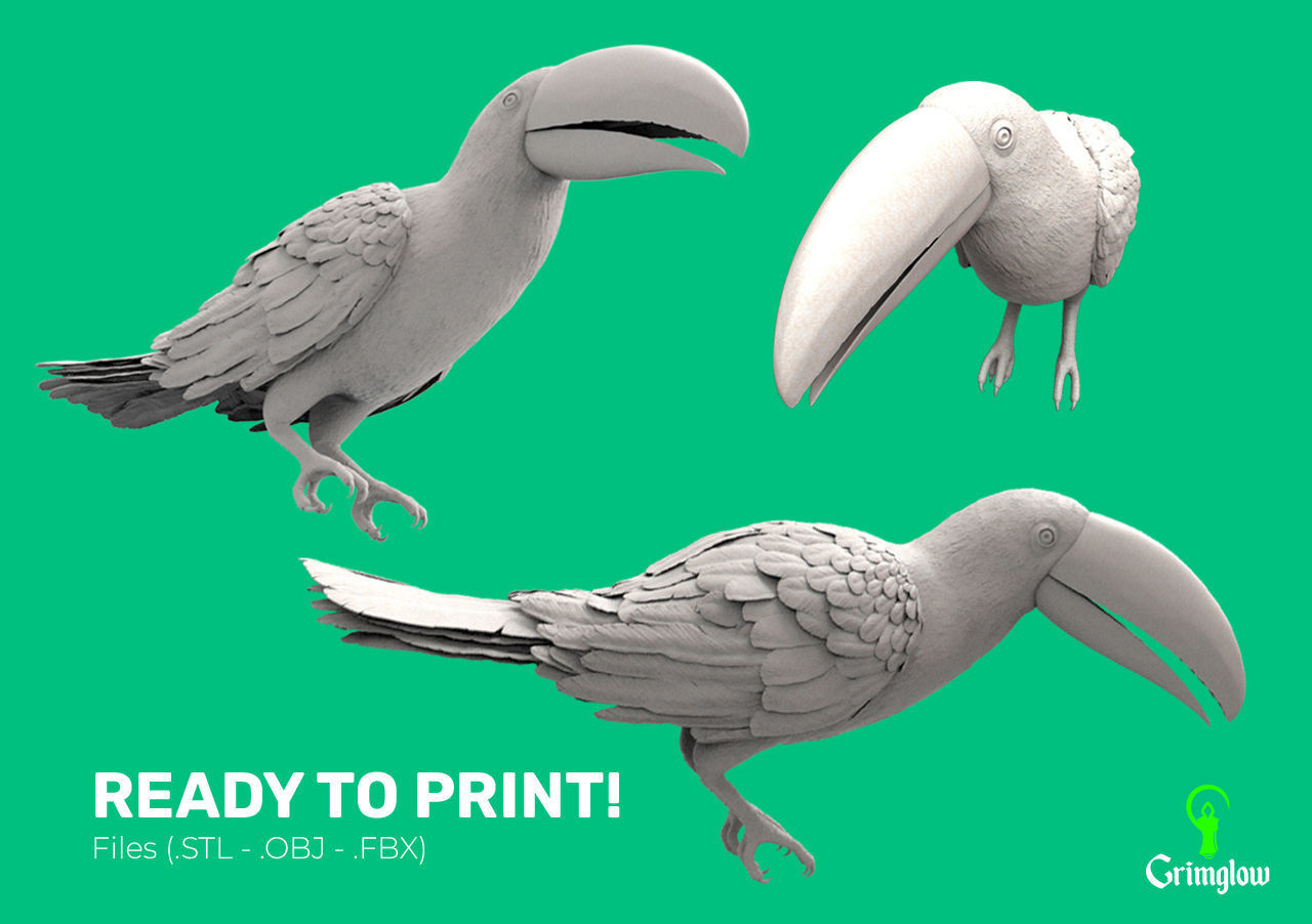 Keel-billed Toucan 3D print model_8