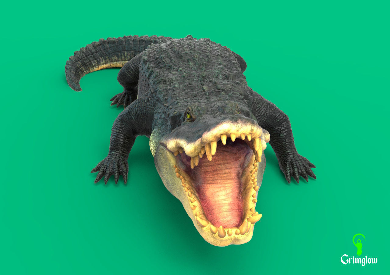 Black Caiman Alligator 3D print model_3