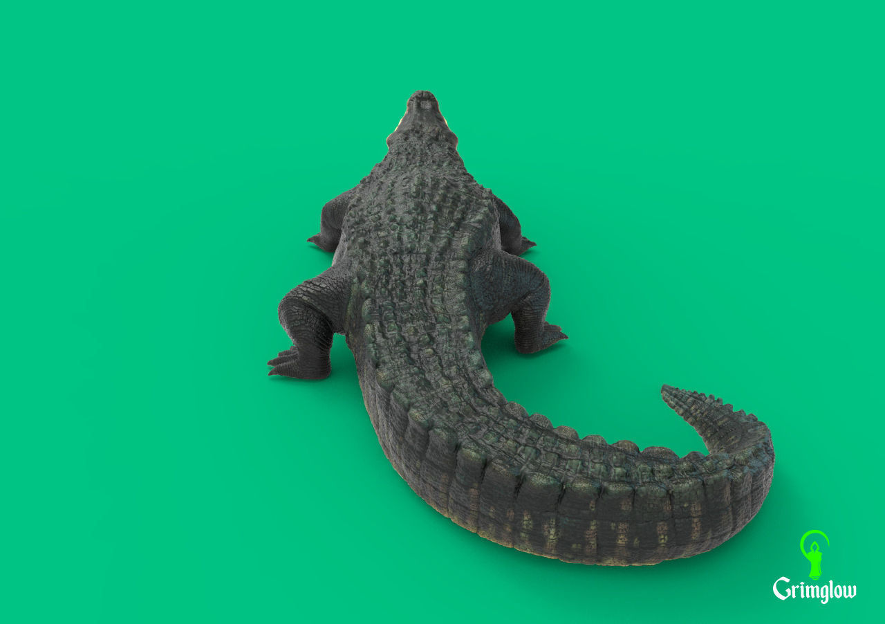 Black Caiman Alligator 3D print model_1
