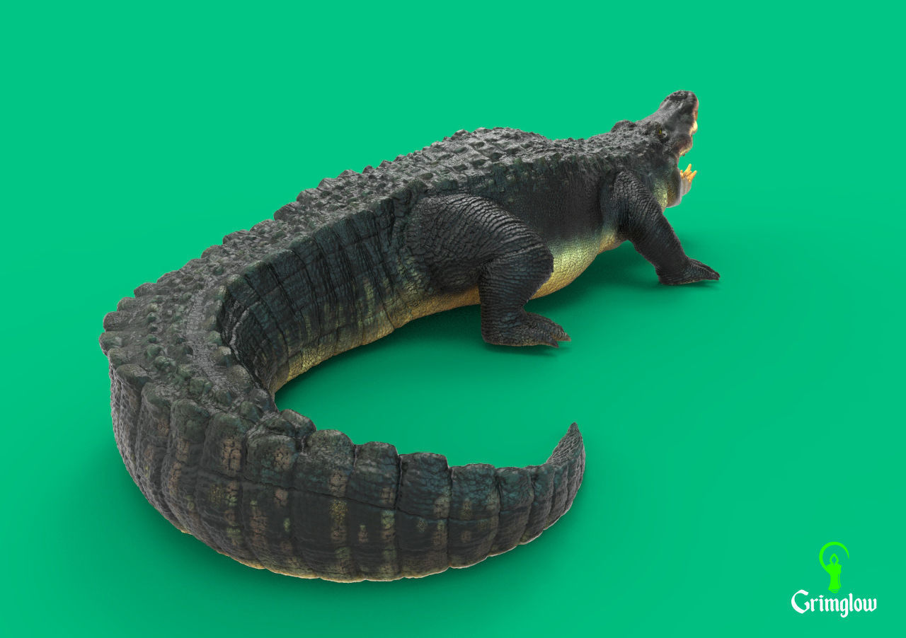 Black Caiman Alligator 3D print model_5