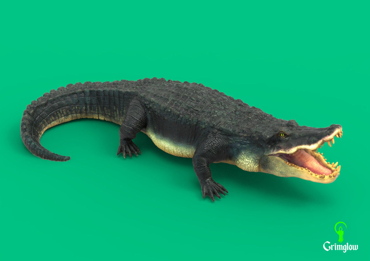 Black Caiman Alligator 3D print model_2
