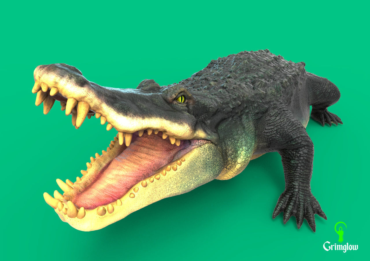 Black Caiman Alligator 3D print model_6