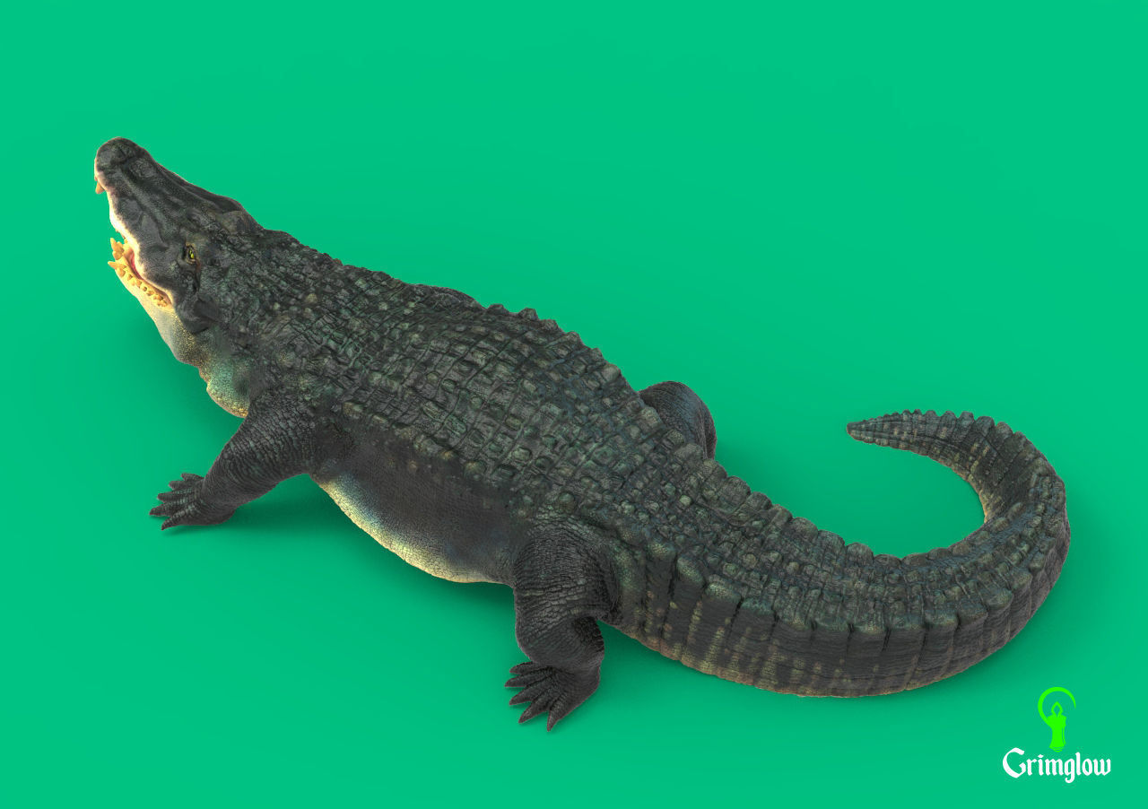 Black Caiman Alligator 3D print model_7