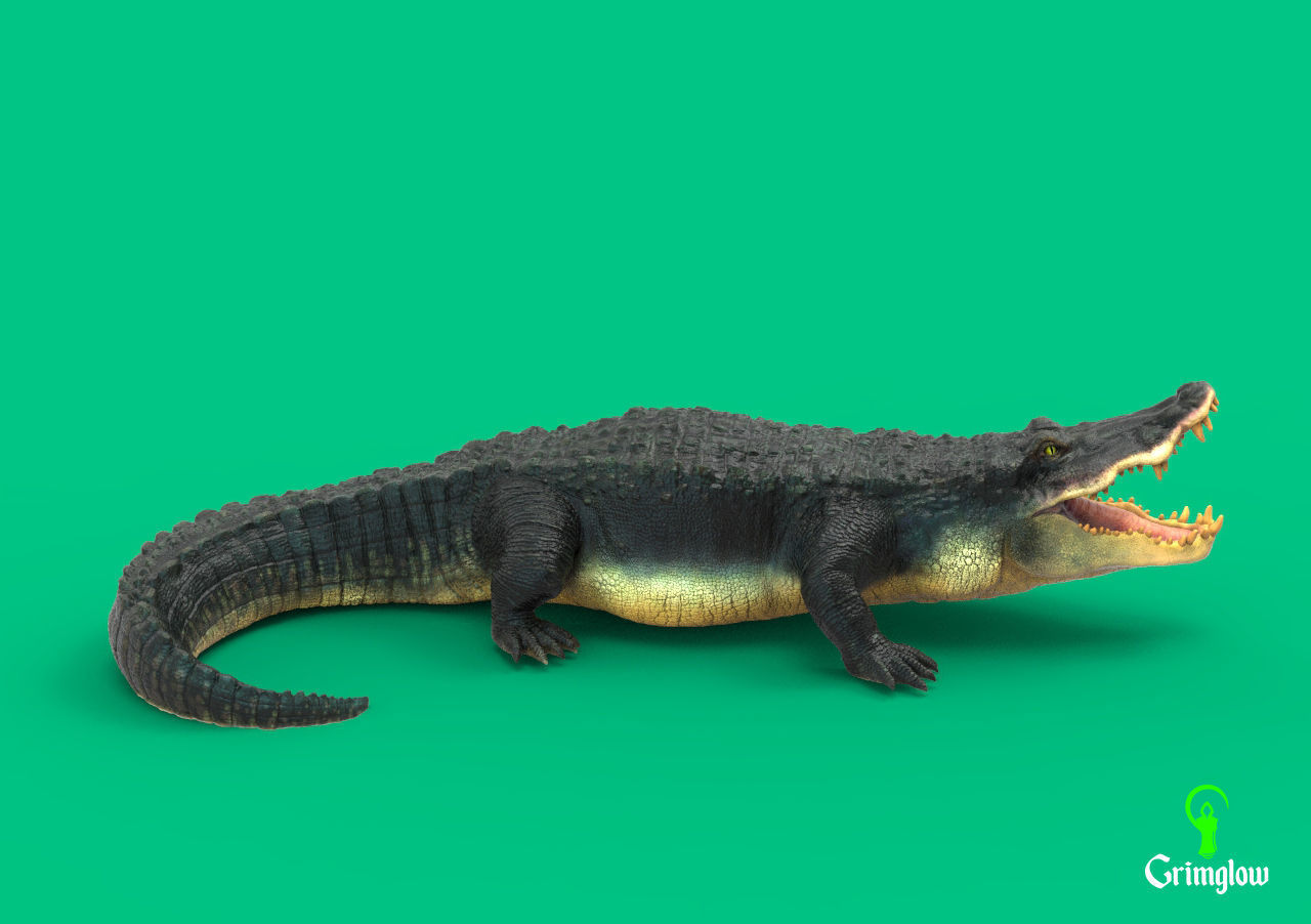 Black Caiman Alligator 3D print model_8