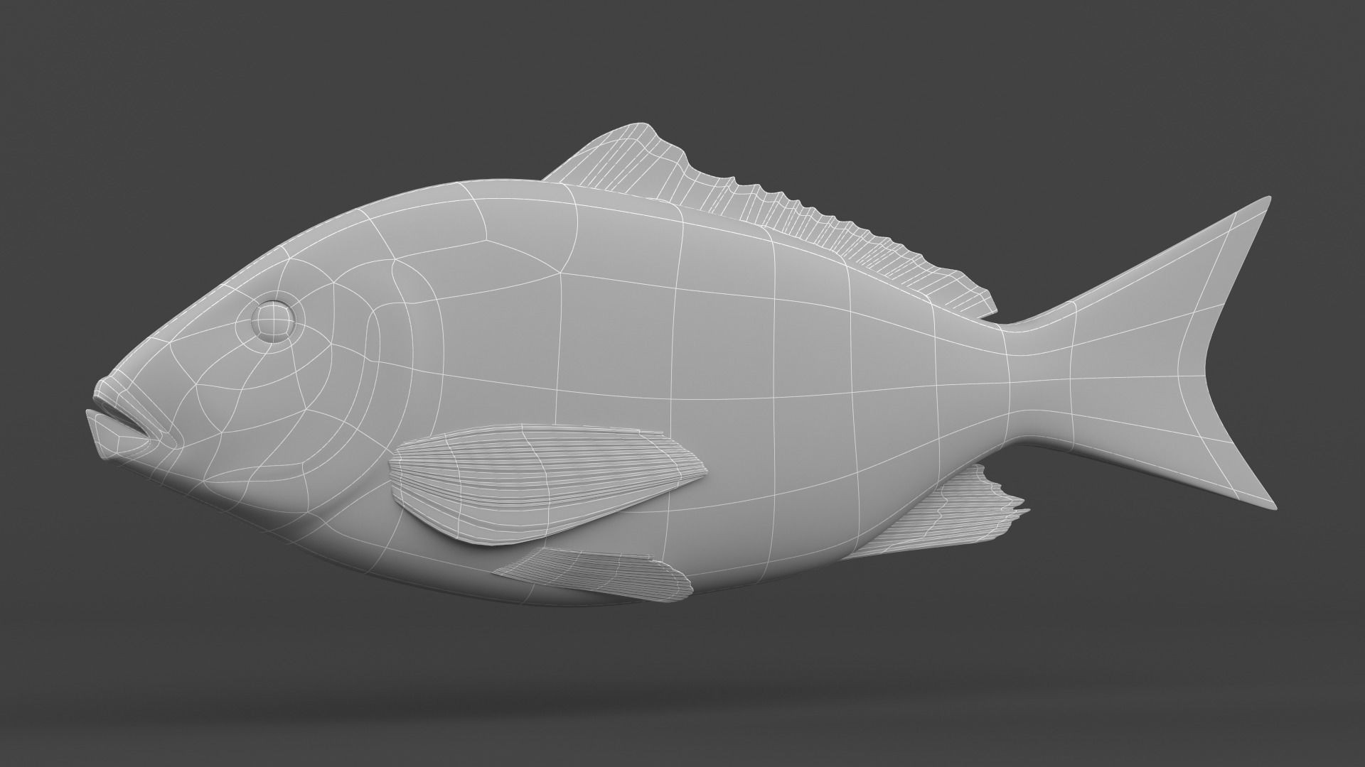 Red Snapper Fish 3D model_7