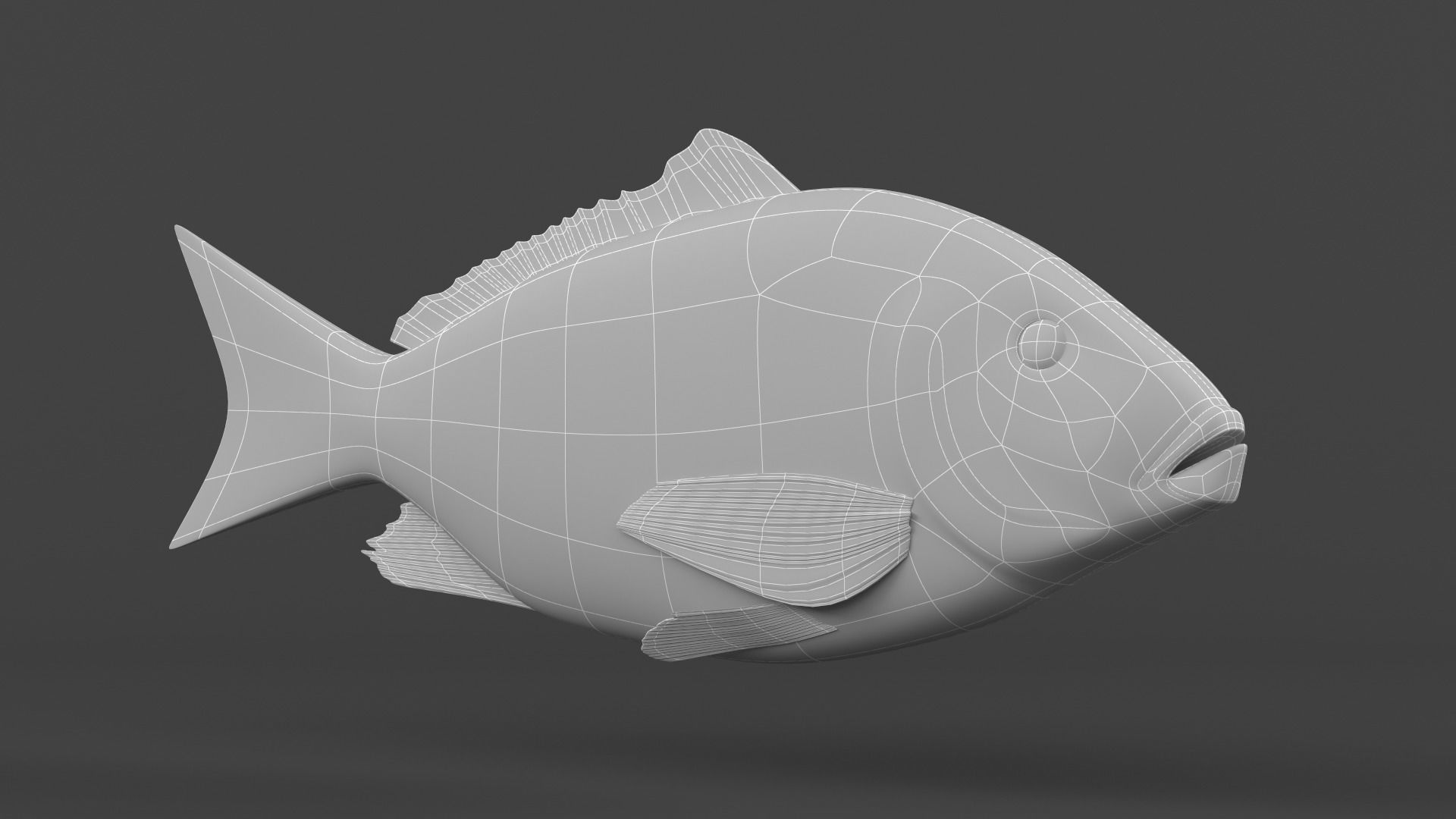 Red Snapper Fish 3D model_9