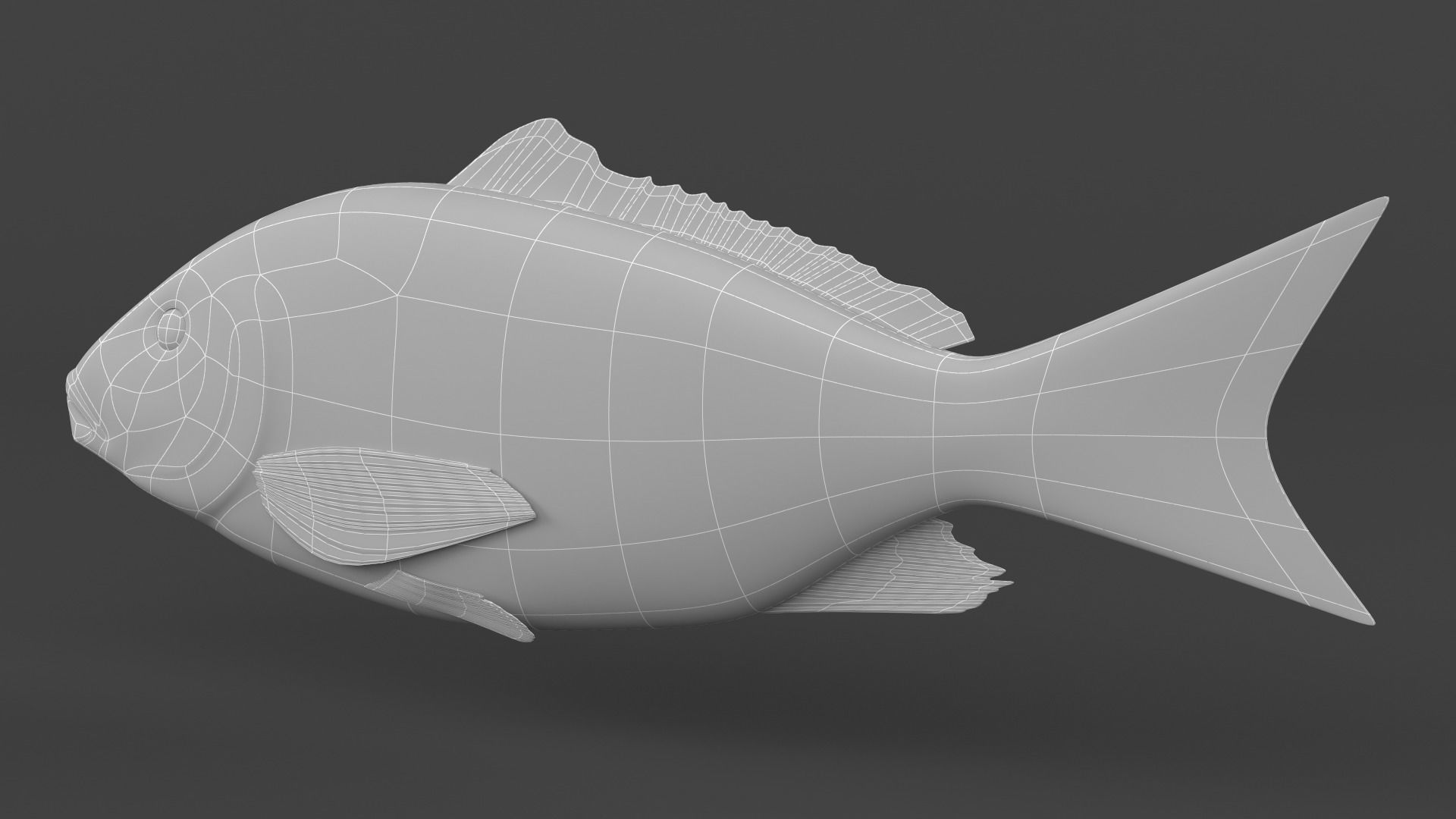 Red Snapper Fish 3D model_8