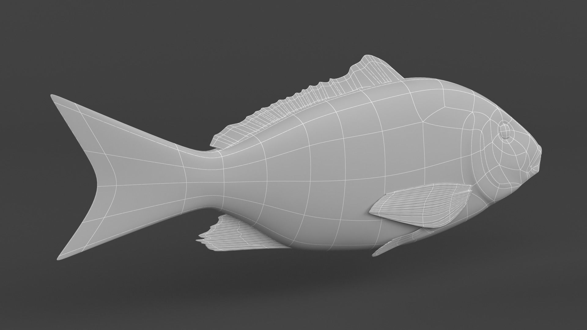 Red Snapper Fish 3D model_6