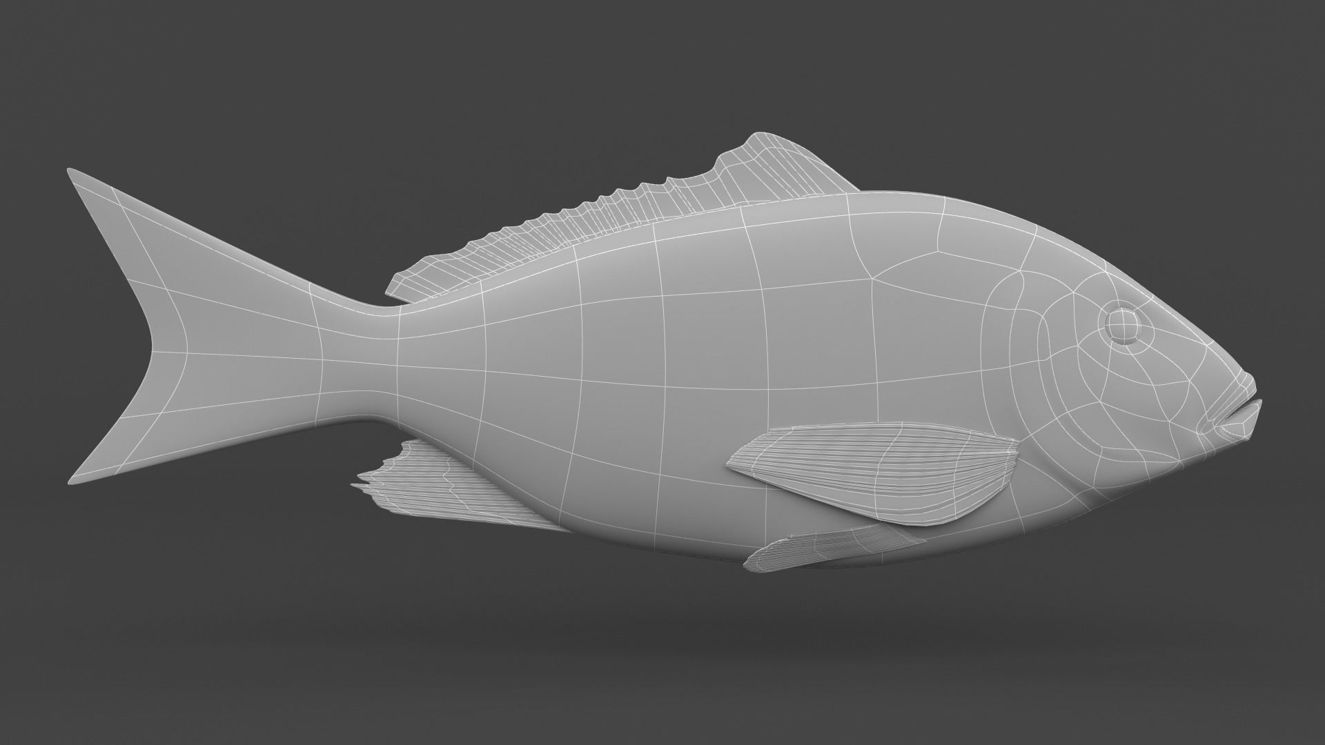 Red Snapper Fish 3D model_5