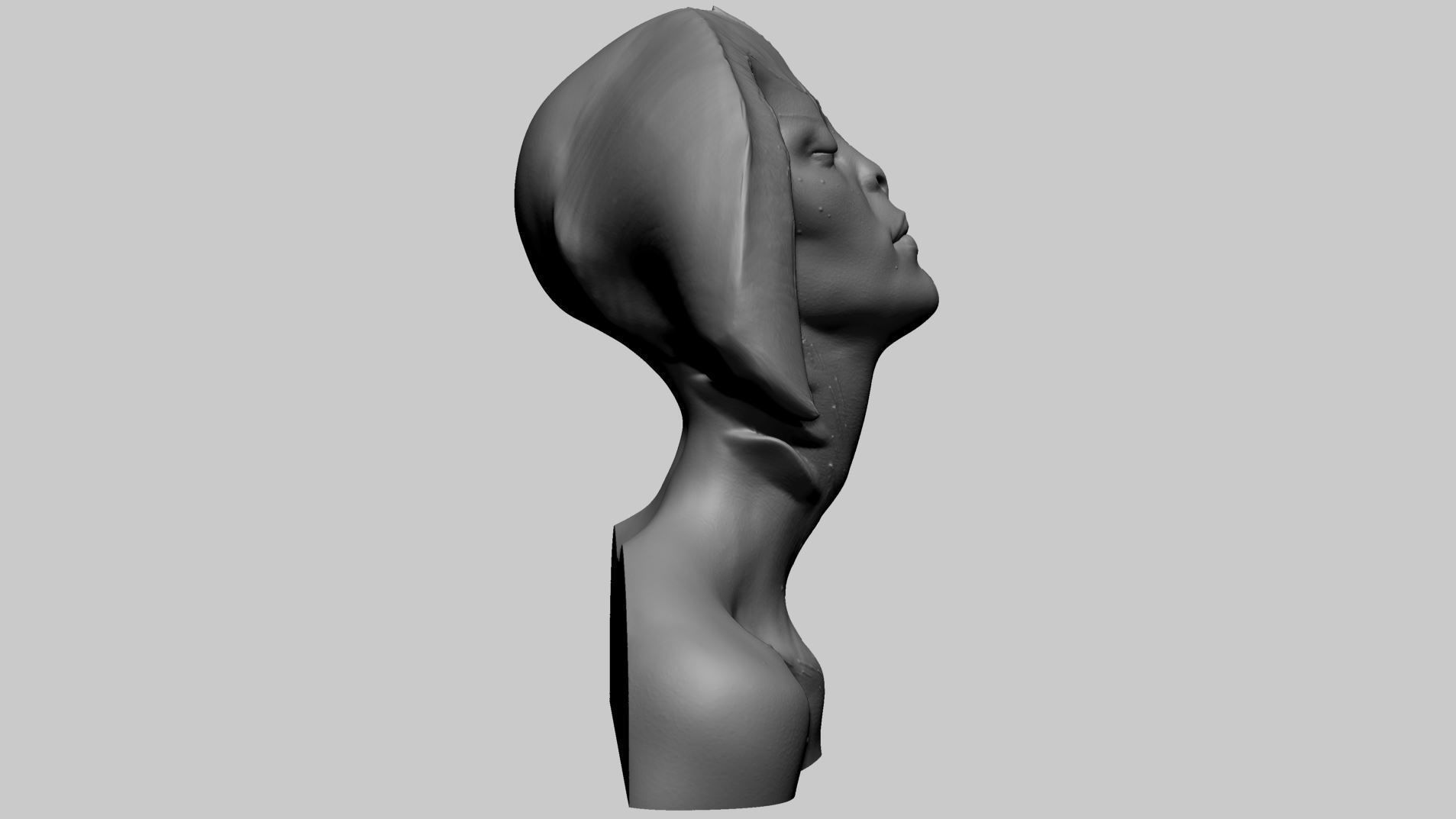Fantasy Female Bust 3D print model_2