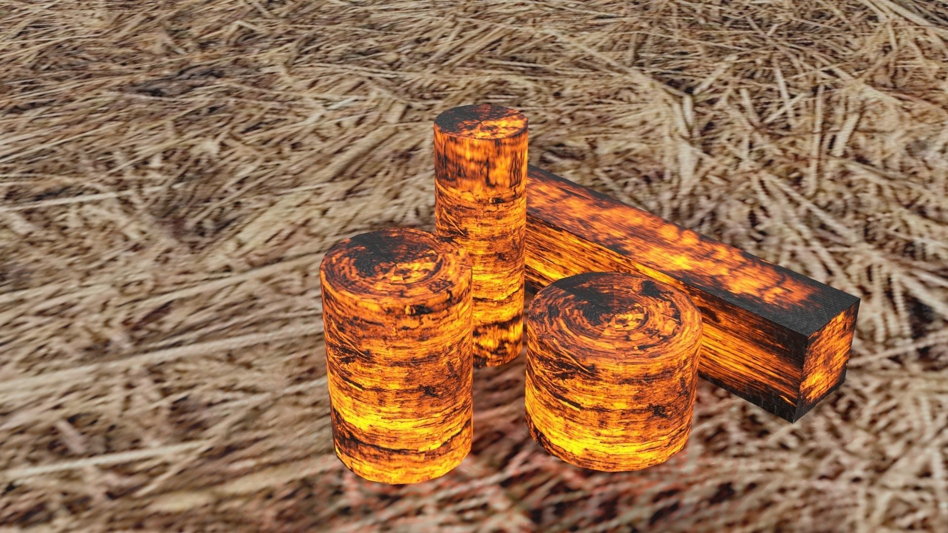Burning Wood 3D model_5