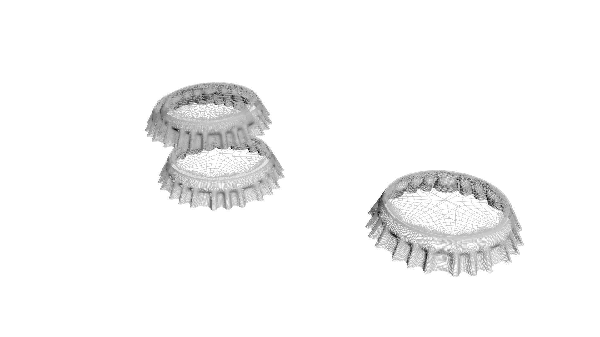 Bottle Caps 3D model_10