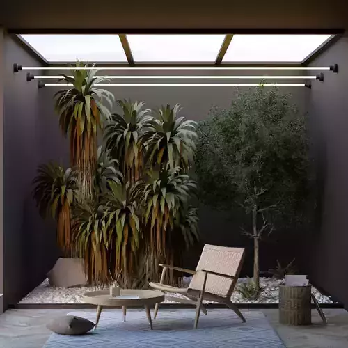 Open roof lounge with mountain cabbage plants