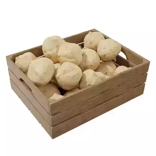 Pachyrhizus erosus crates