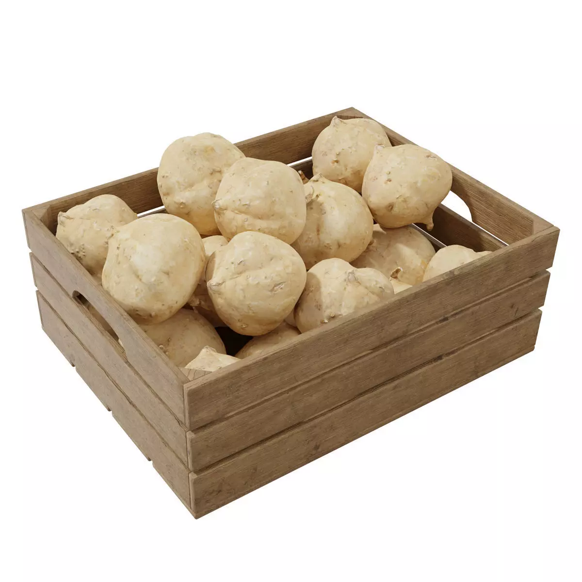 Pachyrhizus erosus crates 3D model_0