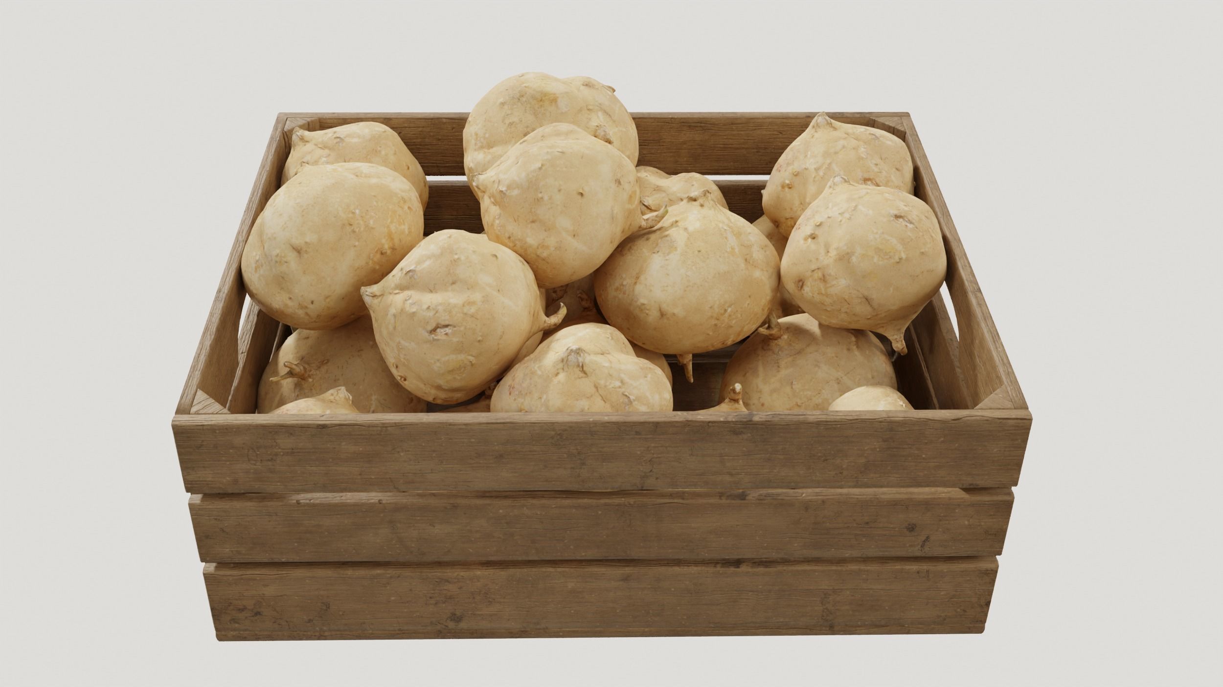 Pachyrhizus erosus crates 3D model_6