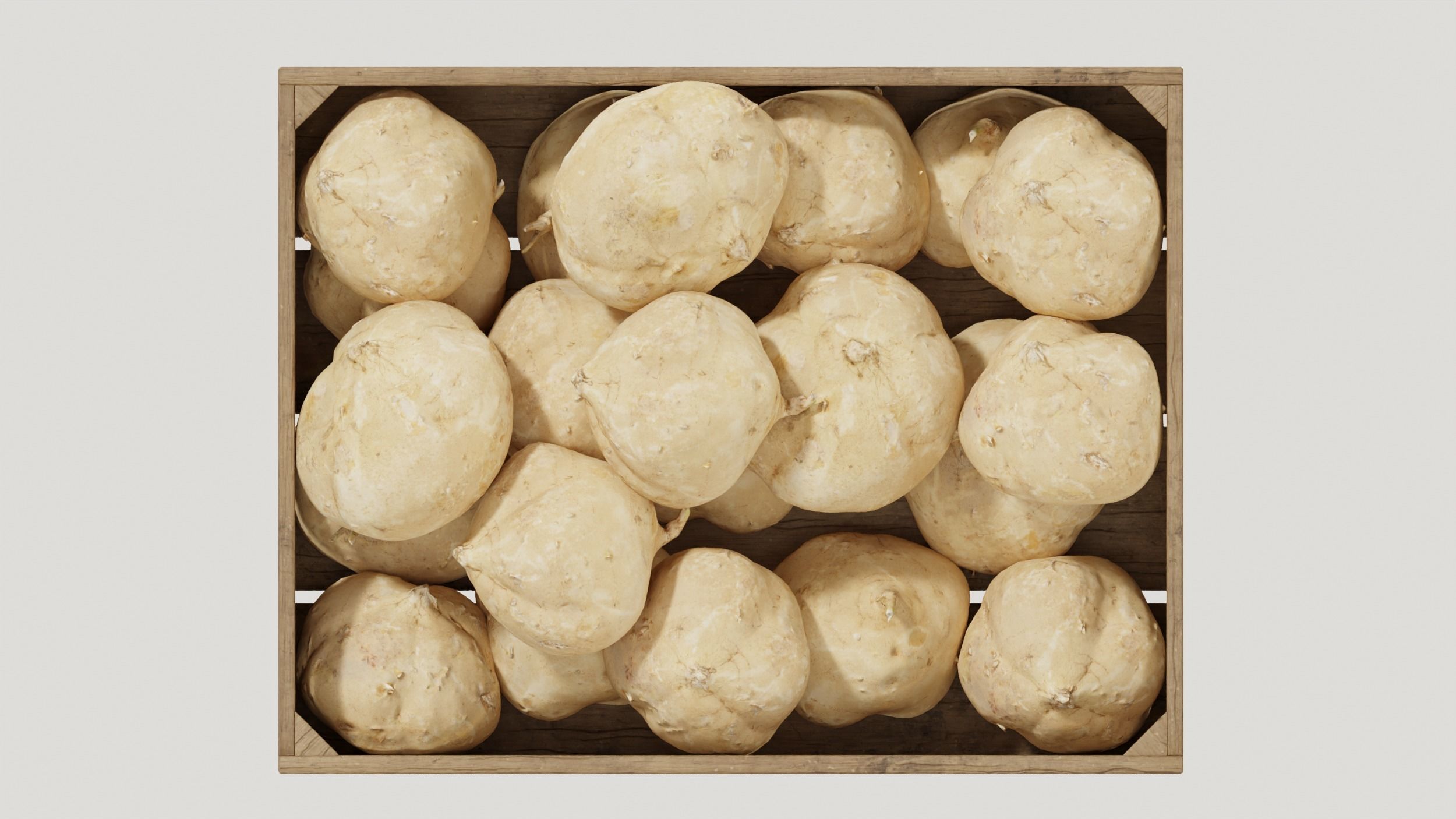 Pachyrhizus erosus crates 3D model_4