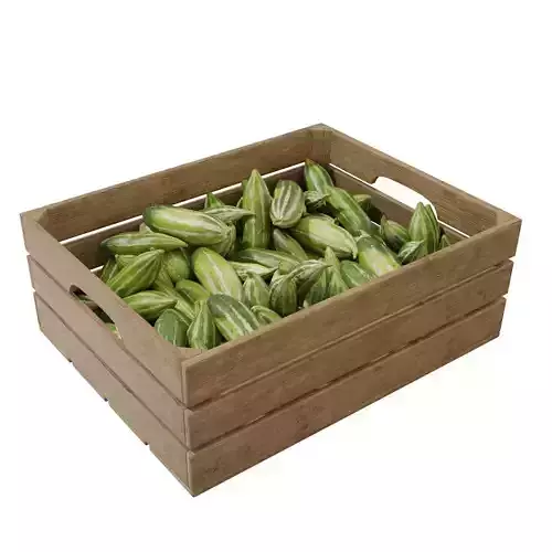 snake gourd crates 3D model