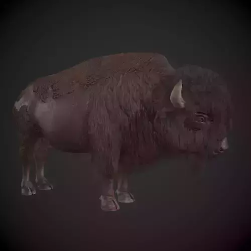 Bison Low-poly 3D model