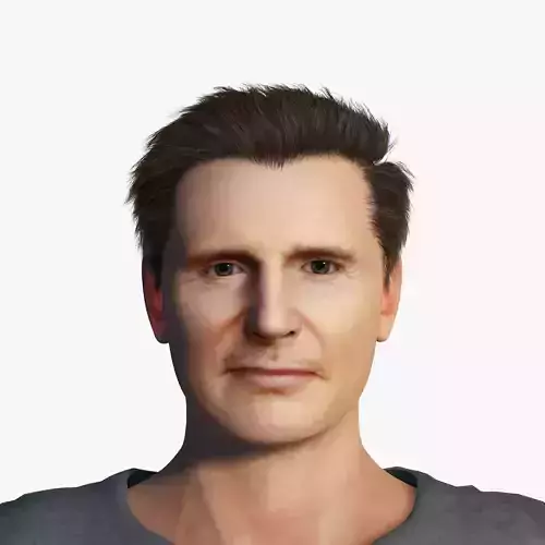 Liam Neeson 3D Rigged model ready for animation Low-poly 3D model