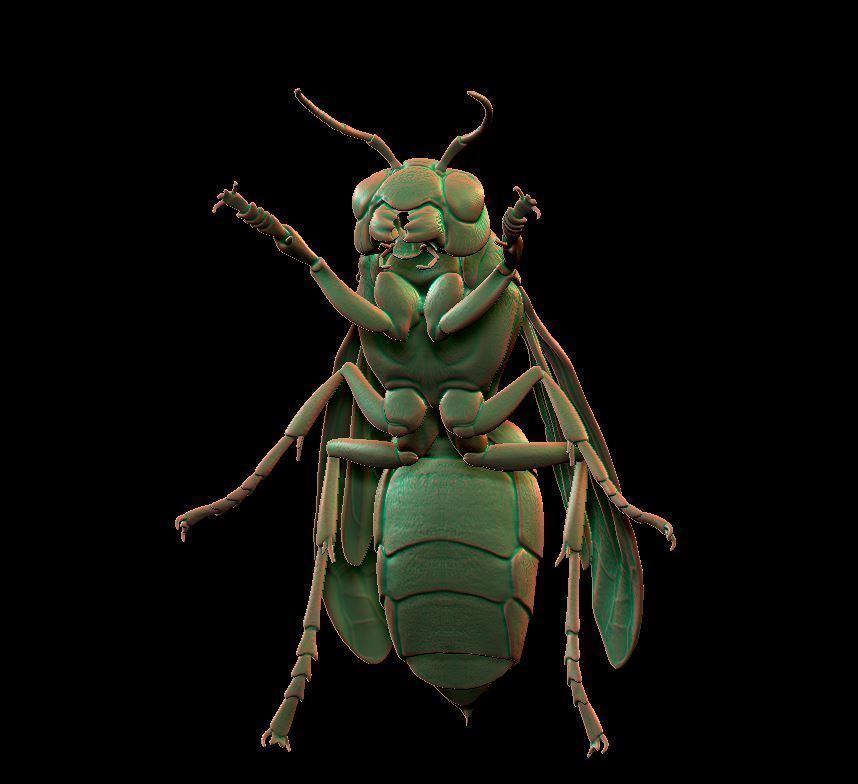 hornet wasp flying 3D print model_4