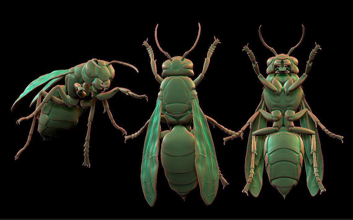 hornet wasp flying 3D print model_2