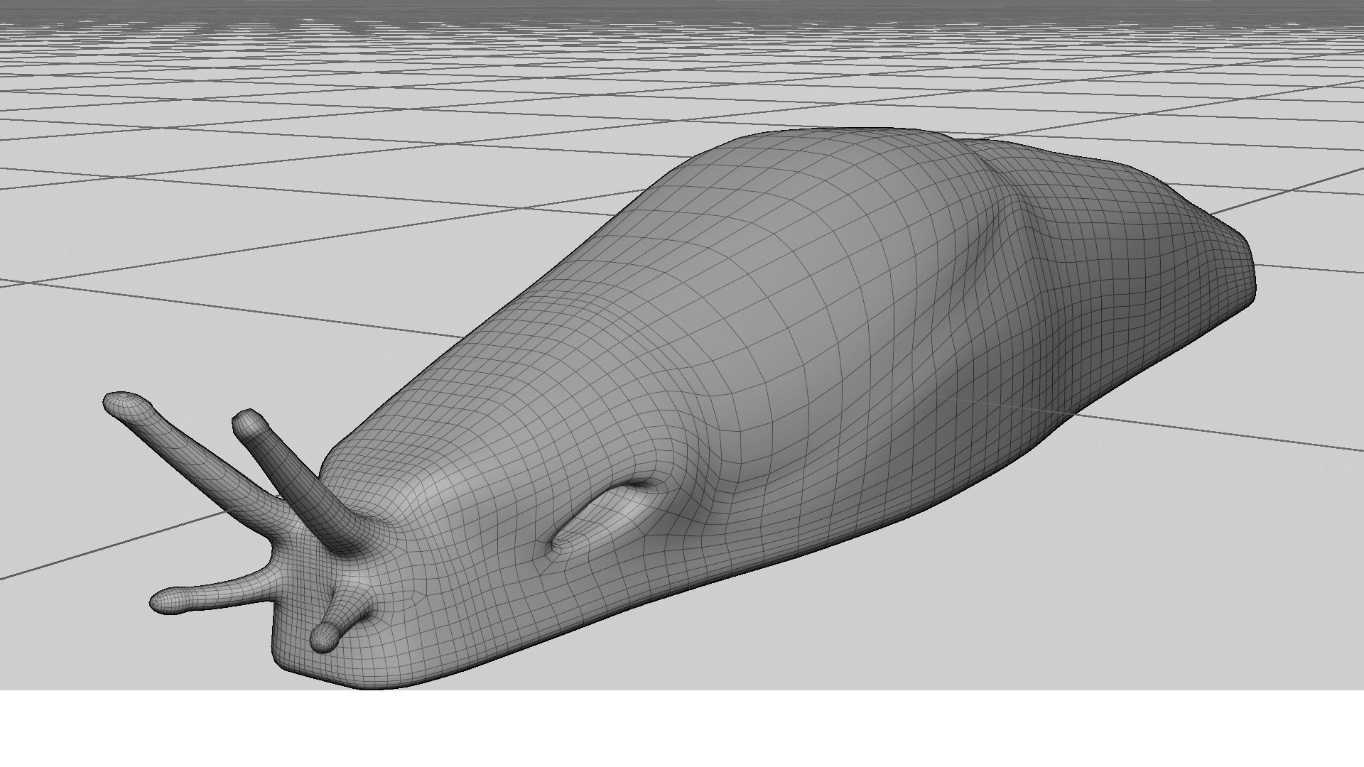 Slug Brown 3D model_10