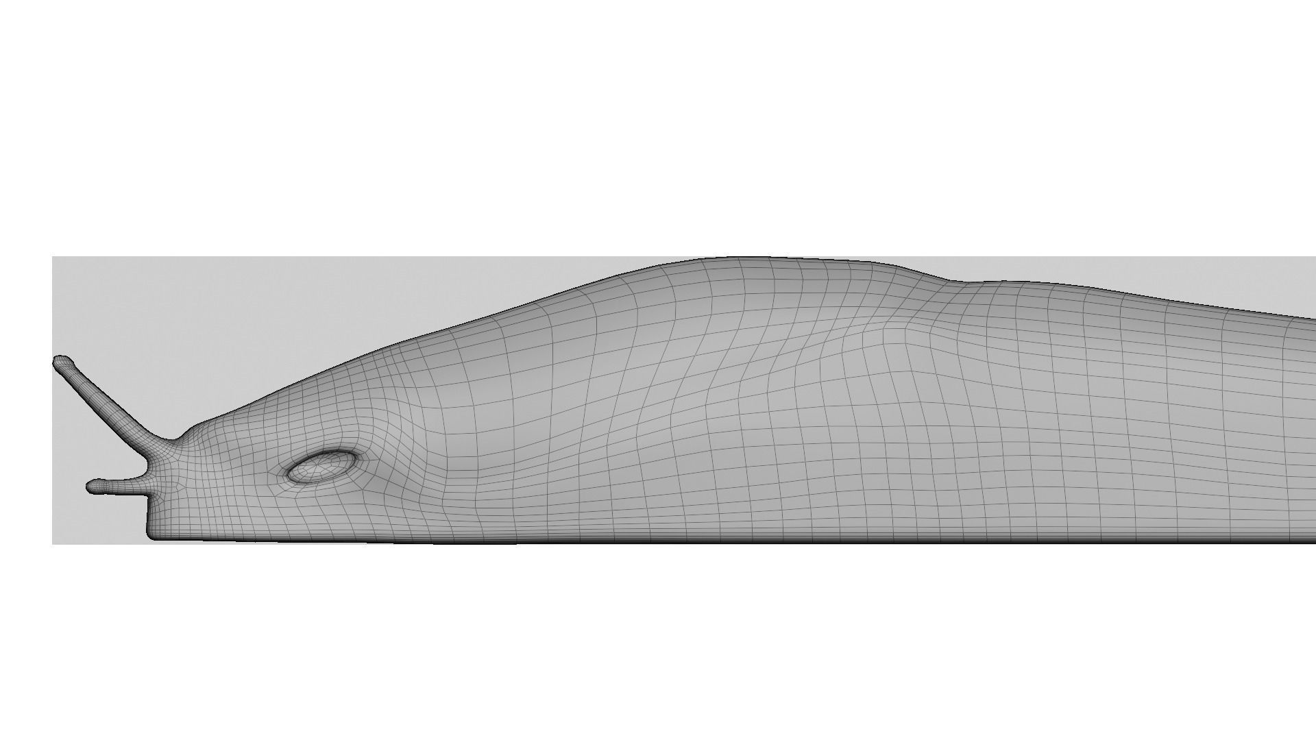 Slug Brown 3D model_11