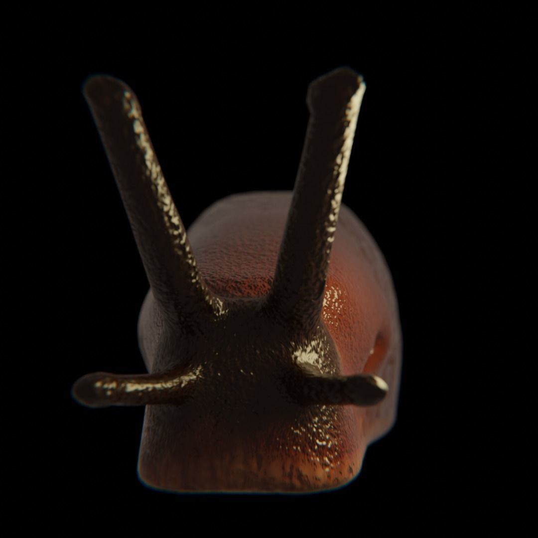 Slug Brown 3D model_3